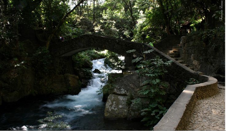 a stone bridge over a river surrounded by trees