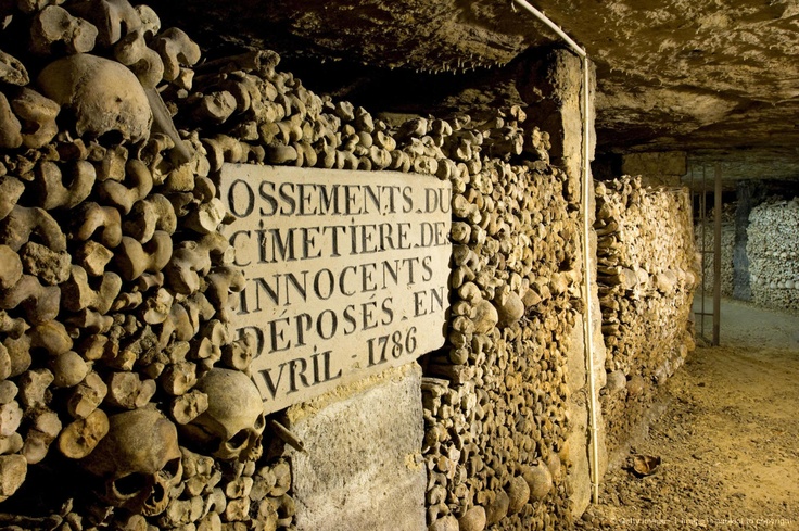 there are many skulls and bones in the room that is made out of stone,