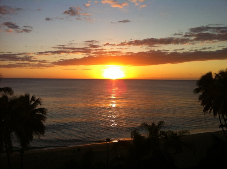 the sun is setting over the ocean with palm trees