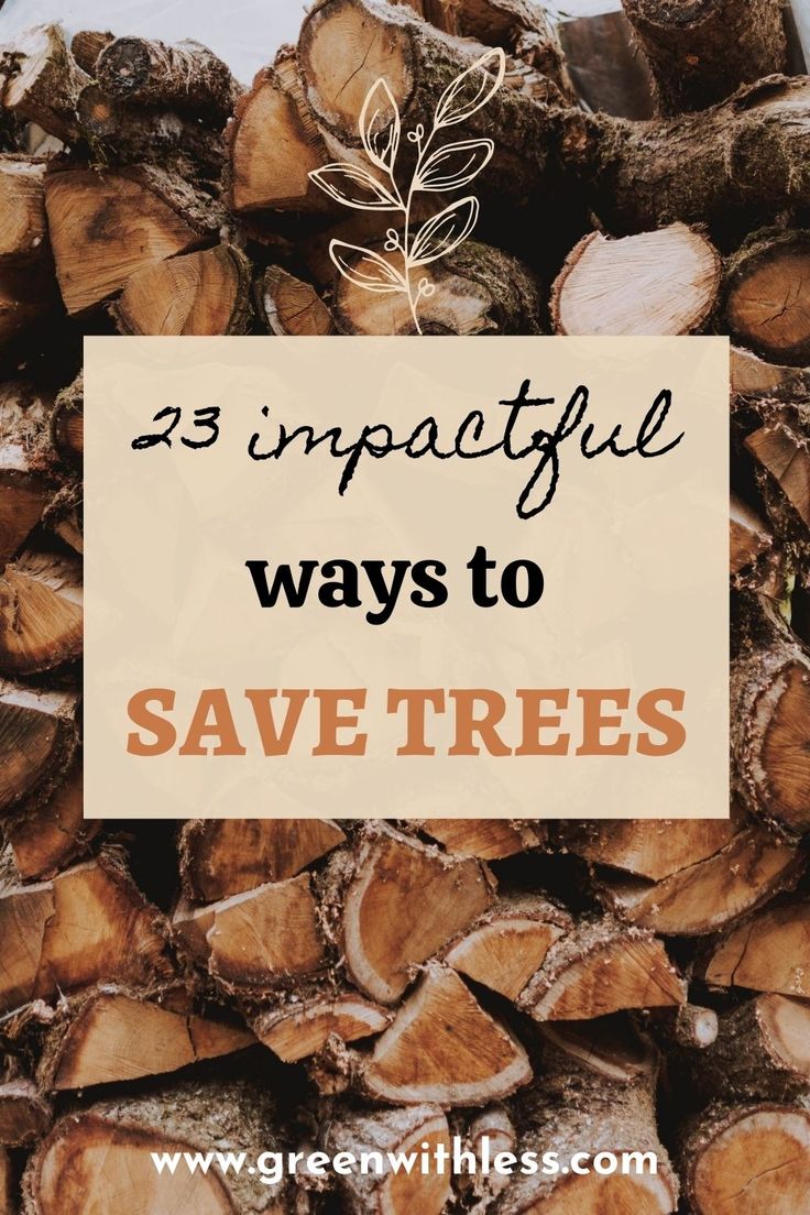 How to Save Trees: 23 Impactful Ways to Take Action - Green With Less ...