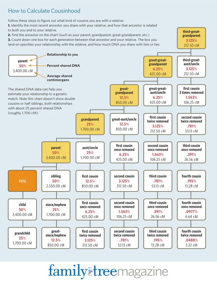 a family tree is shown with the names and numbers on it's side,