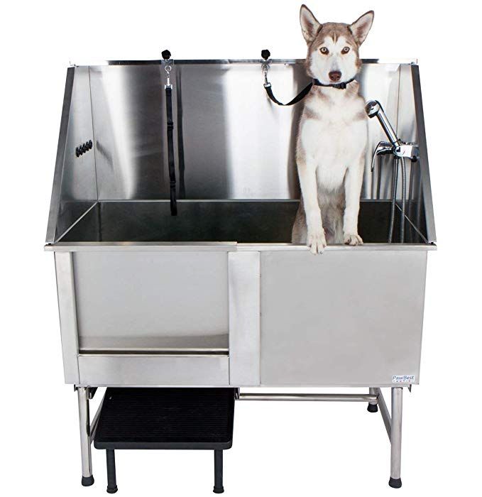 a dog standing on top of a metal sink