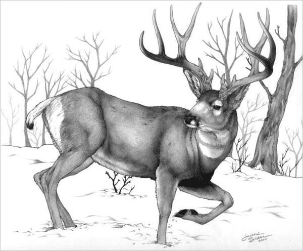 a black and white drawing of a deer running through the snow with trees in the background