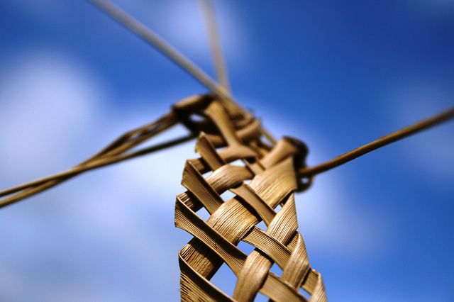 maori-weaving | Flax weaving, Weaving, Plant pattern