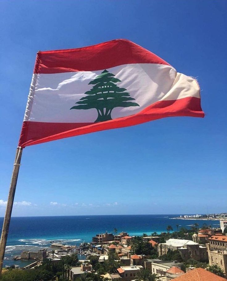 a flag flying in the wind over a city next to the ocean on a sunny day