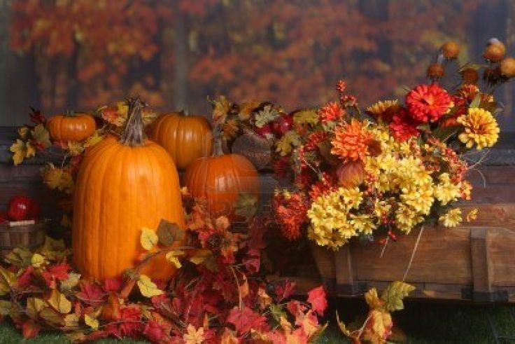 an arrangement of flowers and pumpkins on a table