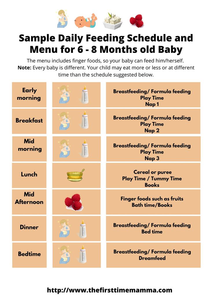 7 Month Feeding Chart