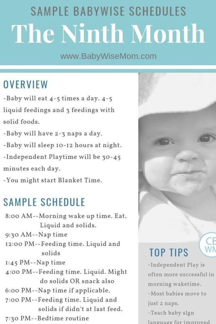 Sample schedules for an 8 month old using the Babywise method. This is ...