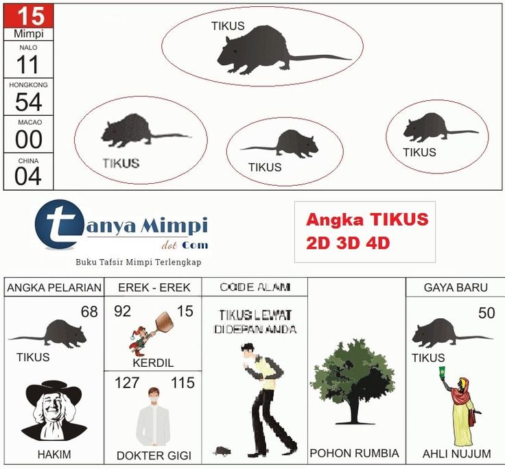 Angka Mimpi Sgp | Syair