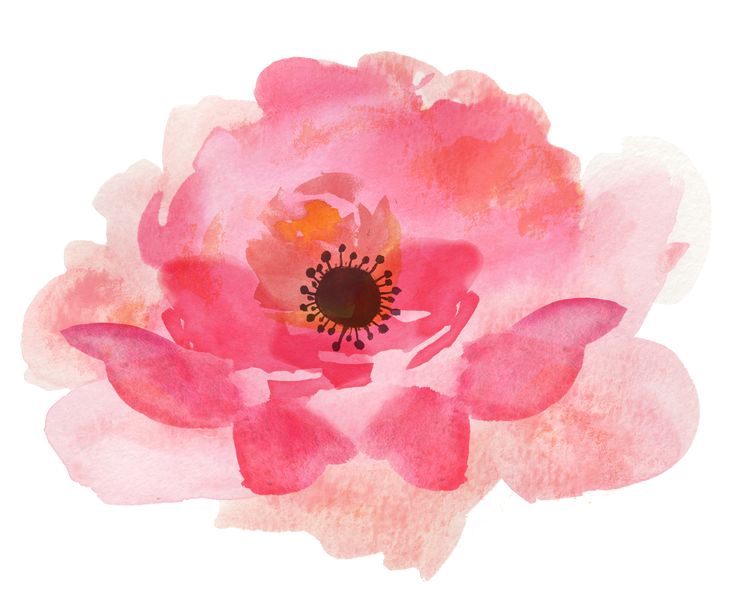 a watercolor painting of a pink flower