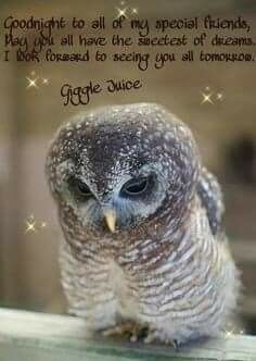 an owl sitting on top of a wooden table next to a quote that says goodnight to all of my special friends