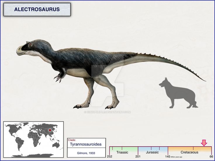 an image of a dinosaur and a dog on a map with the names of its species