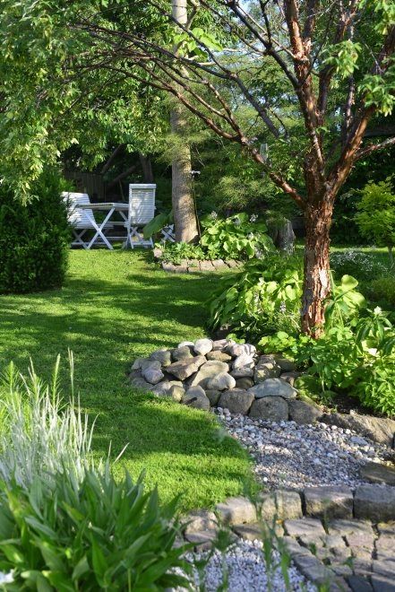 a garden with grass, rocks and trees