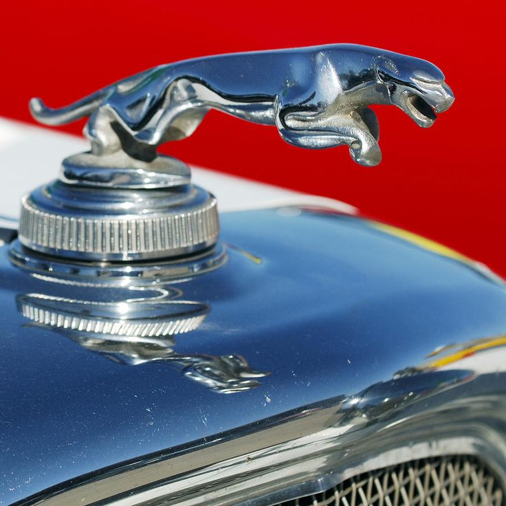 the hood ornament on an old model car