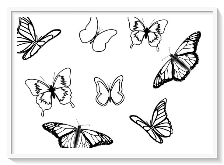 Los más lindos dibujos de MARIPOSAS para colorear y pintar a todo color