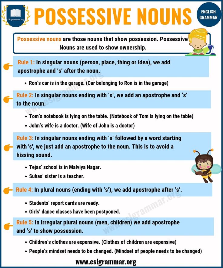 Possessive Nouns Examples With Pictures