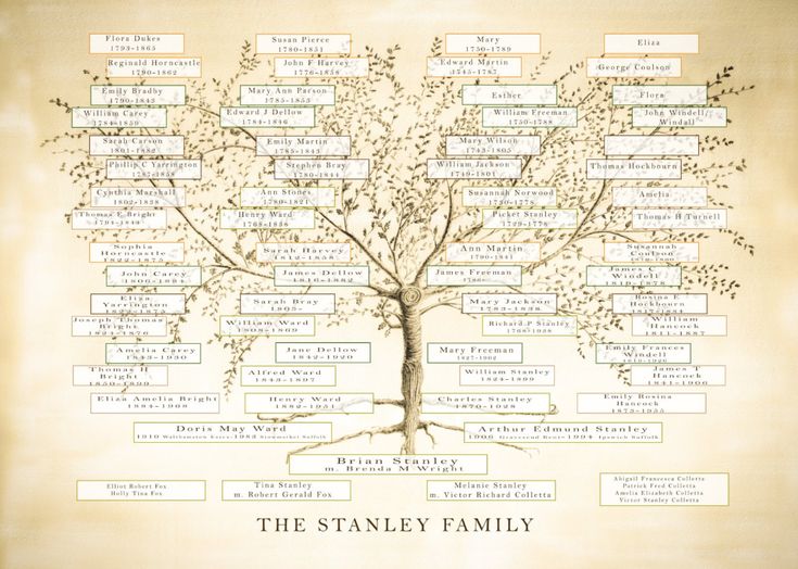 a family tree is shown with names and dates on the bottom left hand corner,