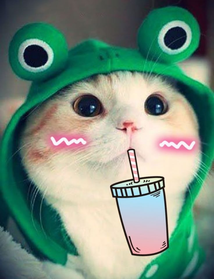 a cat wearing a frog costume with a drink in it's mouth and eyes