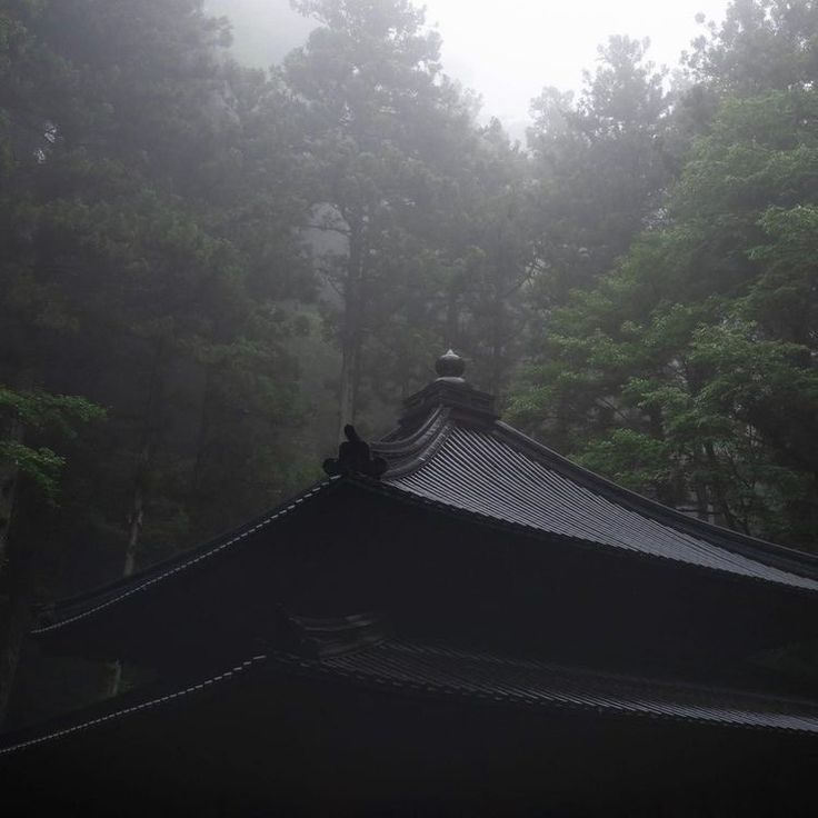 Dark Naturalism, Japanese Forest, Japanese Temple, Dark Paradise, Japan Aesthetic, Aesthetic Japan, Japanese Aesthetic, Night Aesthetic, Nature Aesthetic