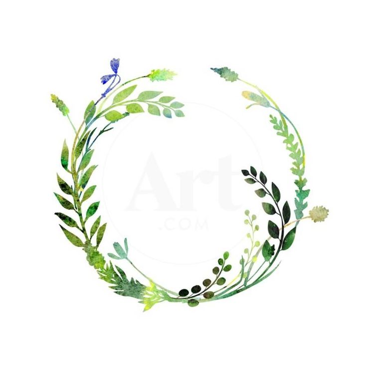 'A Watercolor Wreath Made of Field Meadow Herbs,Plants,Twigs;A Hand ...