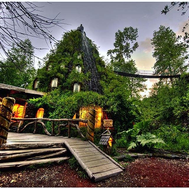 a house that is surrounded by trees and plants in the forest with a walkway leading up to it