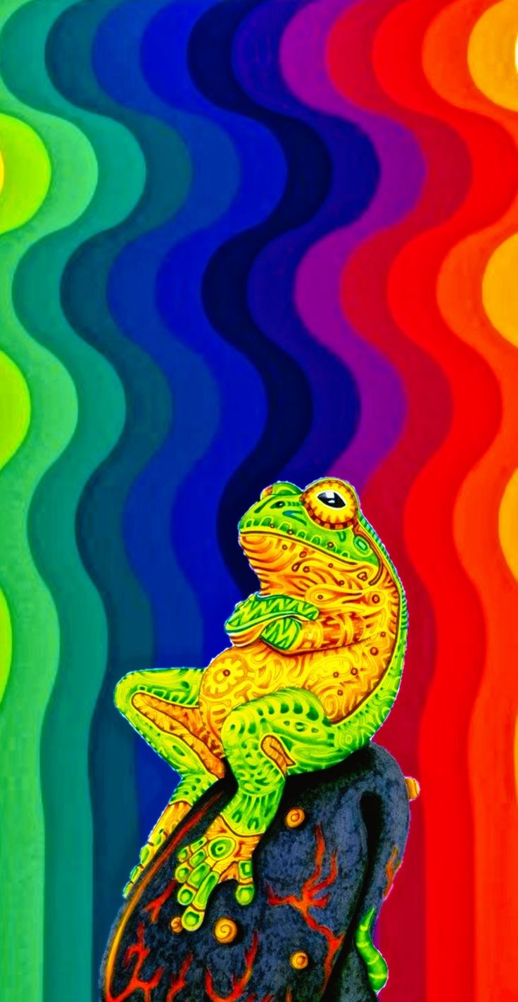 a frog sitting on top of a rock in front of a rainbow colored wave background