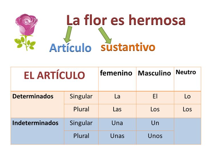 the words in spanish and english are arranged on top of each other, including flowers