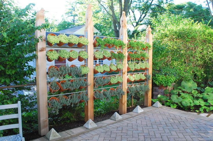 a wooden trellis with plants growing on it next to a white bench and brick walkway