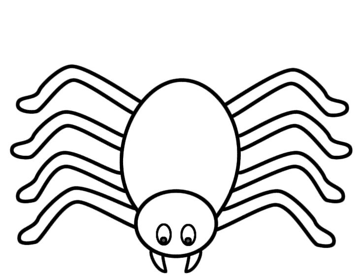 a black and white image of a spider