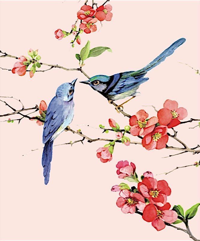 two blue birds sitting on top of a tree branch with red and pink flowers in the background