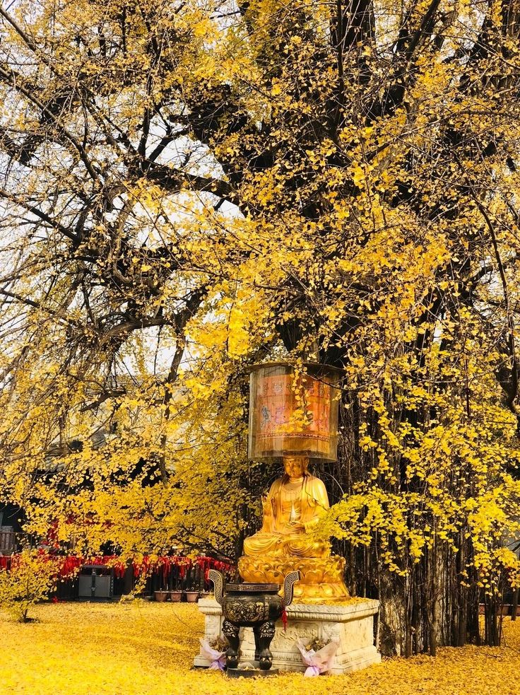 a statue in the middle of a park surrounded by trees with yellow leaves on it