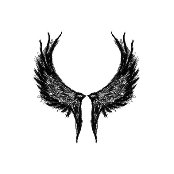 black and white drawing of two wings