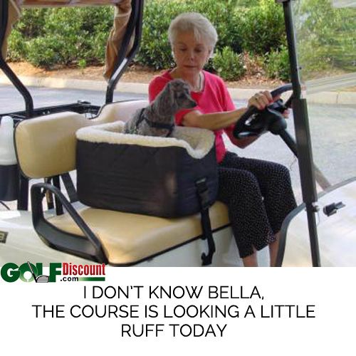 an older woman driving a golf cart with her dog