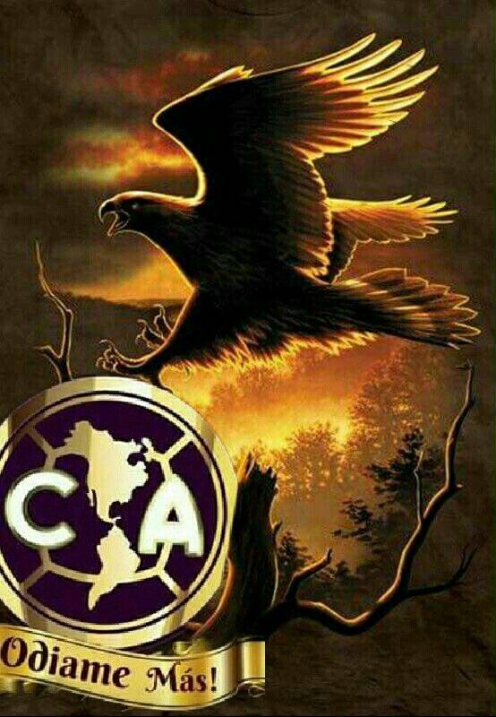 30 Aguilas del america ideas | club america, america, aguilas