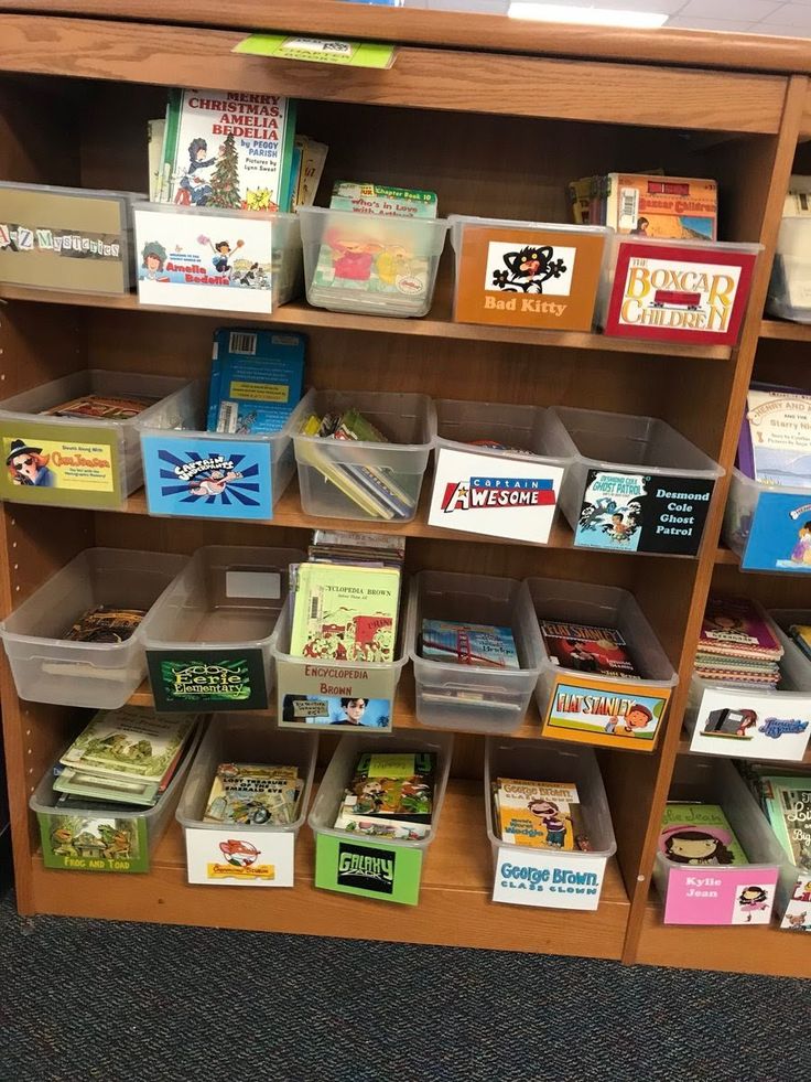 Amazing Library Ideas for K-12! | Library book displays, Elementary ...