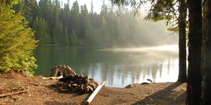 a lake surrounded by trees and fog in the distance with sun shining through the trees