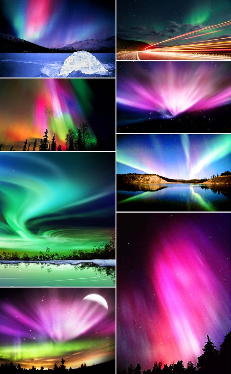 the aurora bores are brightly colored in different colors