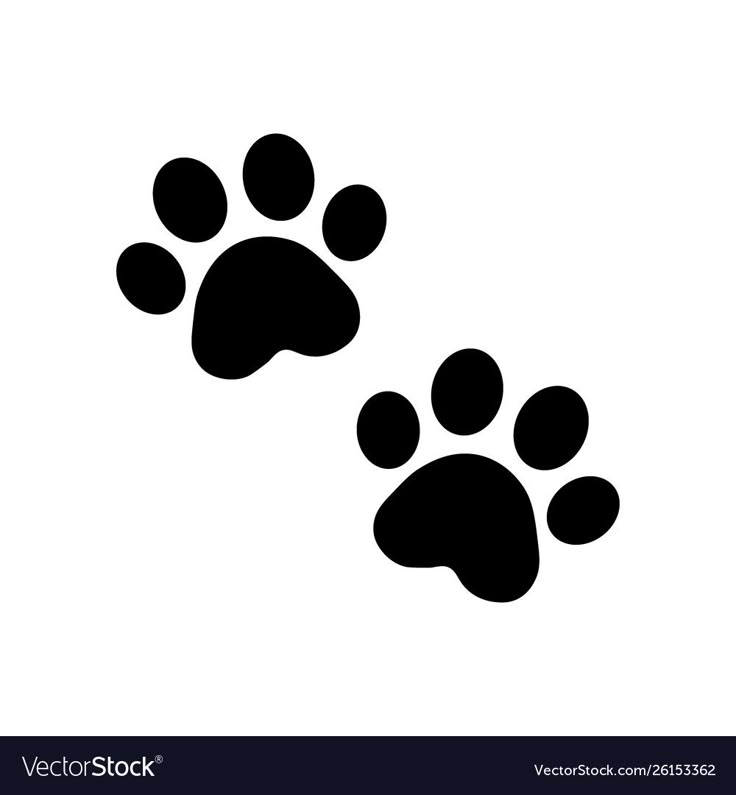 an animal paw print on a white background