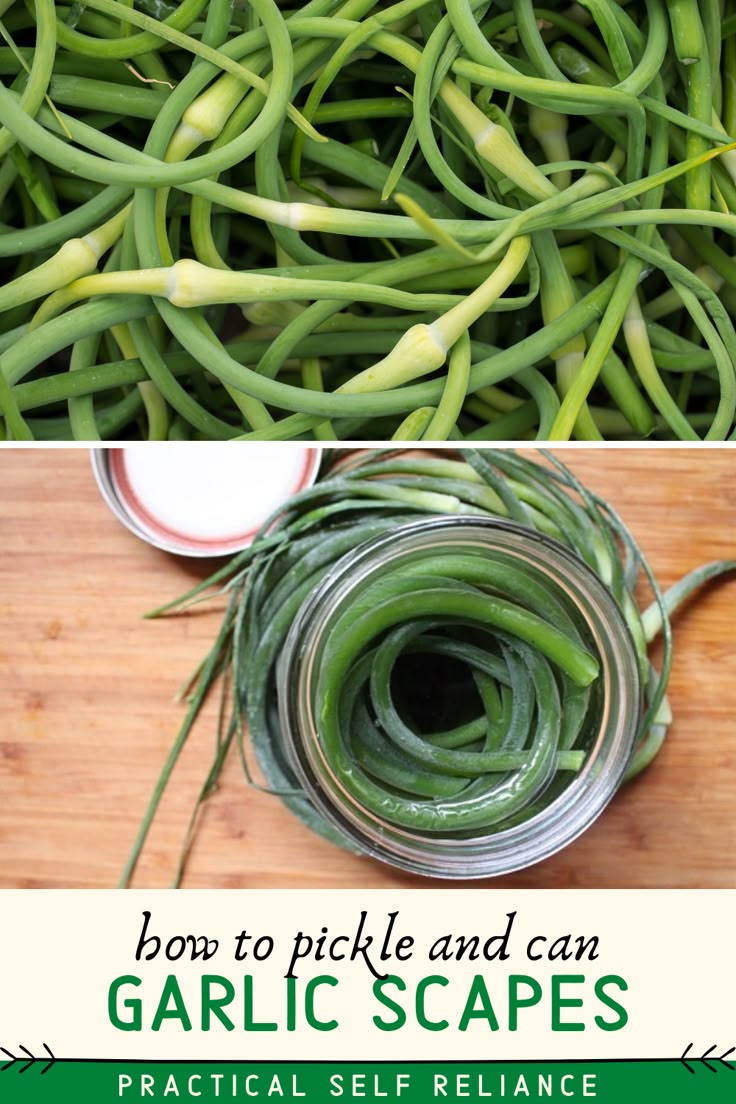 how to pickle and can garlic scapes practical self reliance for any type of vegetable