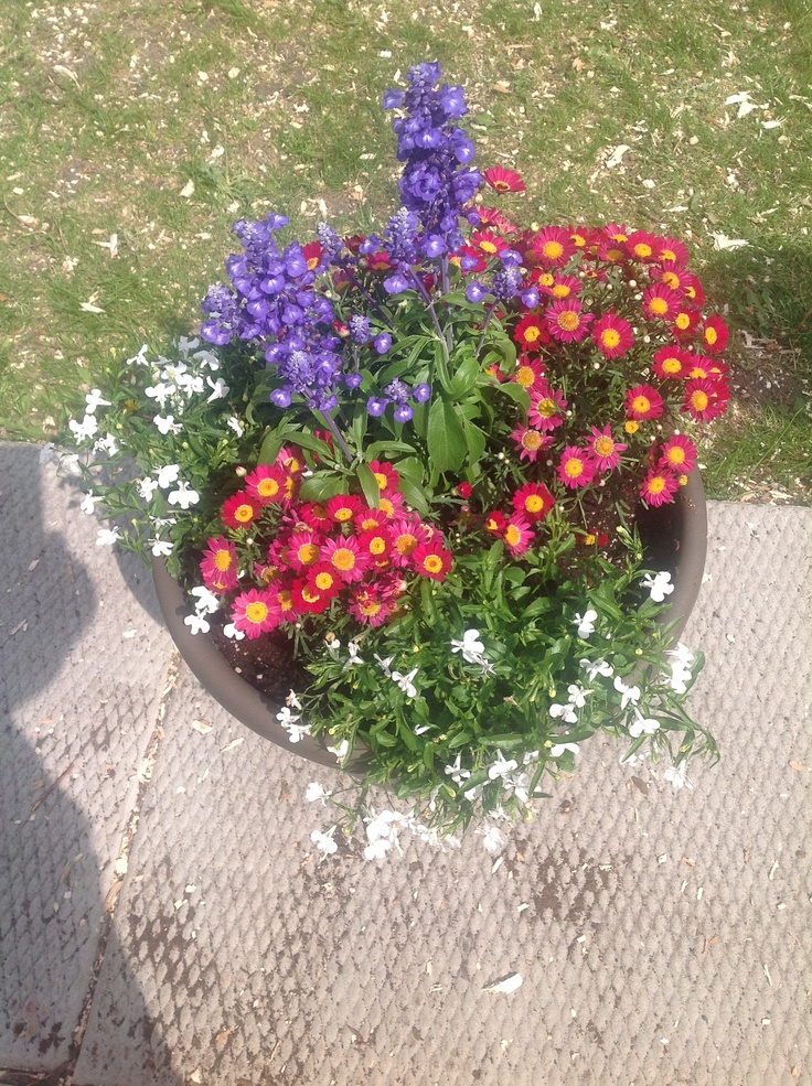 a potted planter filled with colorful flowers sitting on top of a cement slab