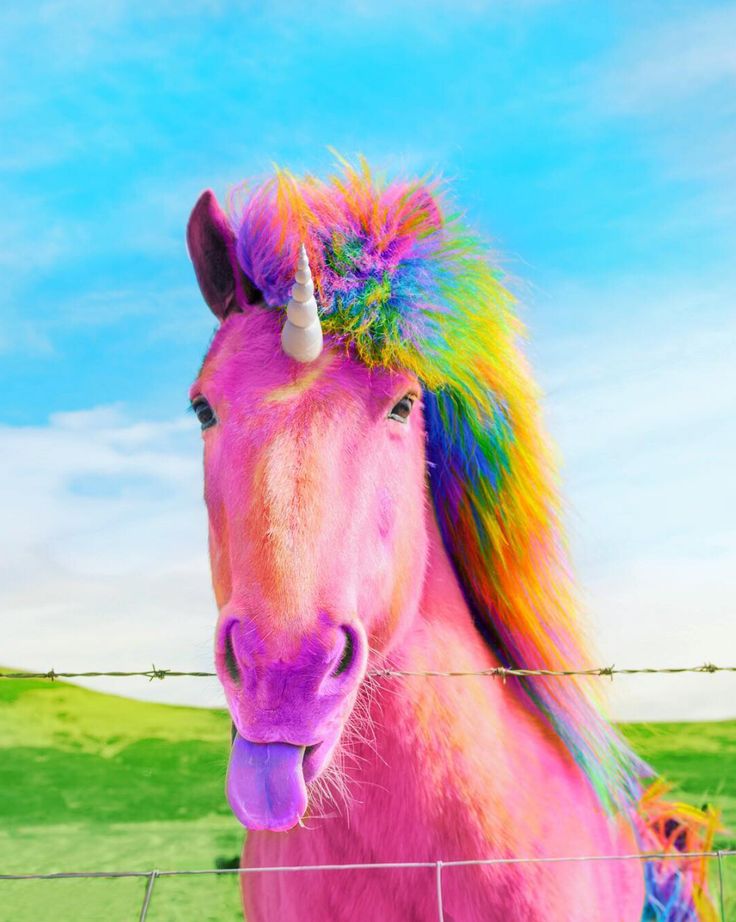 a pink horse with a rainbow mane standing in front of a barbed wire fence that says, i looked you're mine