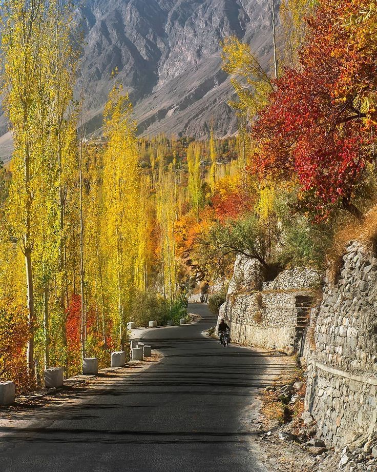 an empty road surrounded by colorful trees and mountains in the background with a person riding a bike on one side