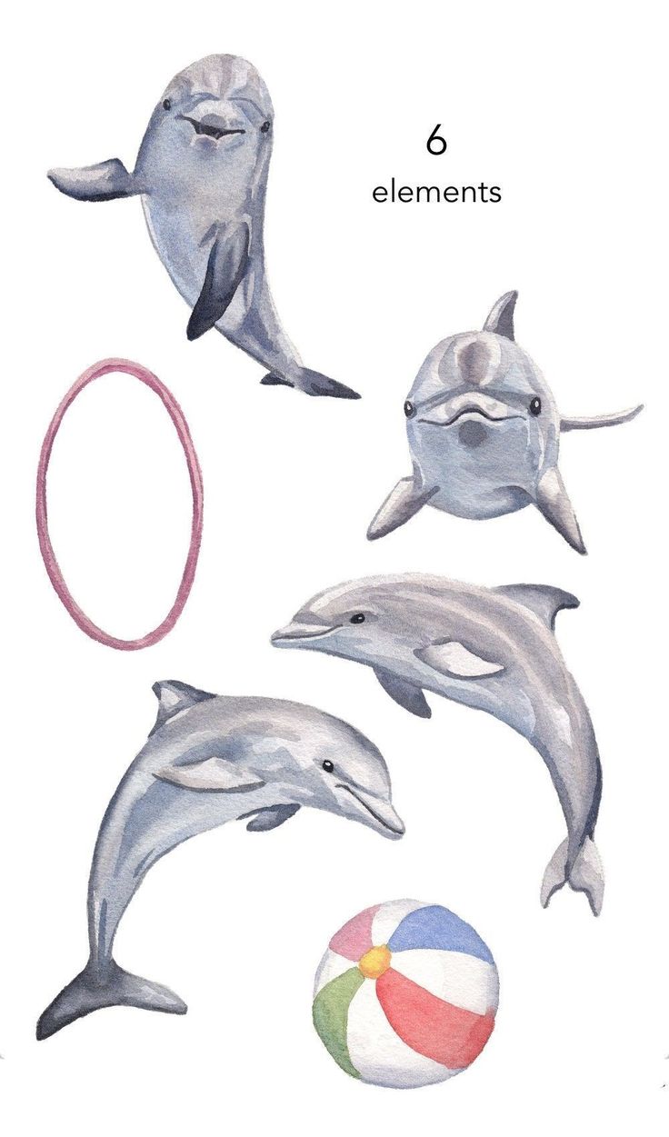 four dolphins and a ball are shown in this watercolor painting technique, with the words elements above them