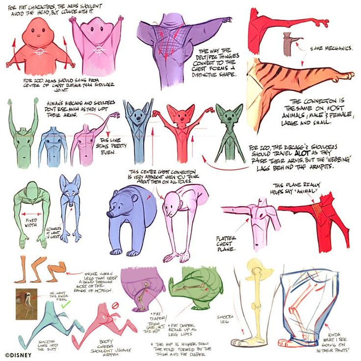 Character Design Shapes and Forms | Zootopia concept art, Zootopia art ...