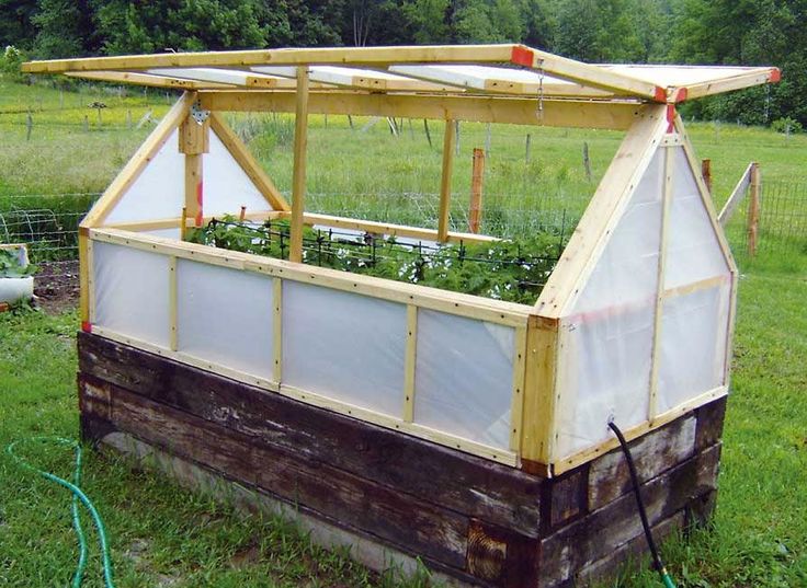 an old wooden greenhouse with plants growing in it