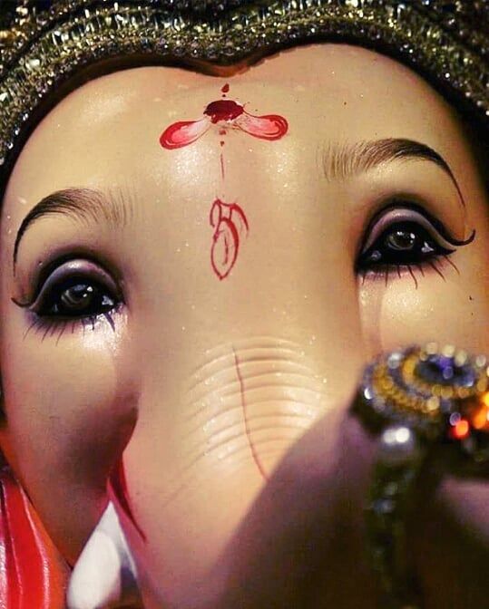 JAI SHREE GANESHA on Instagram: “🔔 JAI VIGHNHARTA SHREE GANESHA 🔔 🌷 ...