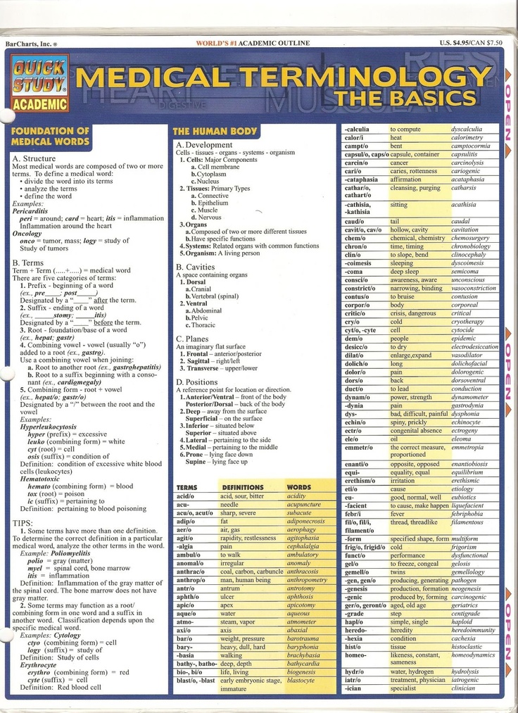 the medical term and body chart