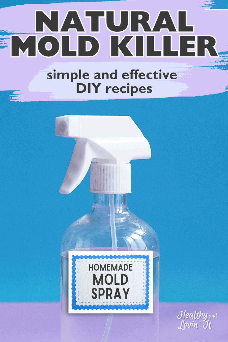 a bottle of homemade mold spray with the words homemade mold spray on it and an image of