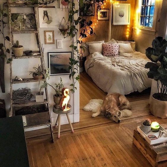 a dog laying on the floor next to a bed in a room filled with plants