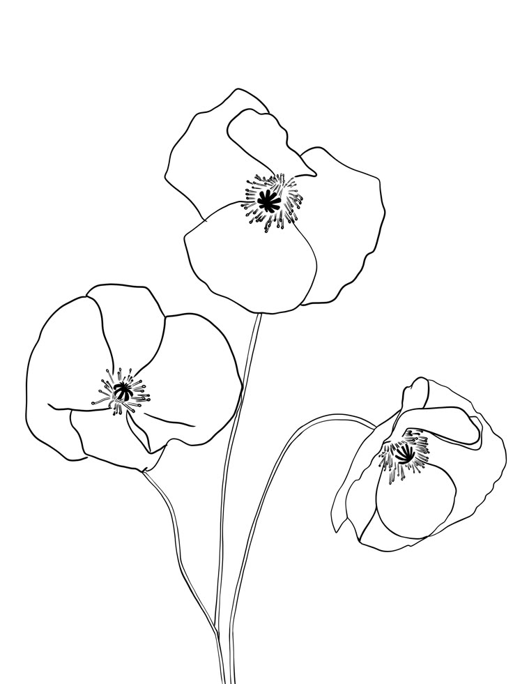 three flowers that are in the middle of a line art drawing style, one is black and white